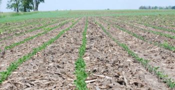 Pre-emergence herbicides