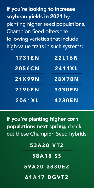 If you’re looking to increase soybean yields in 2021 by planting higher seed populations, Champion Seed offers the following varieties that include high-value traits in such systems: 1731EN, 2056CN, 21X99N, 2190EN, 2061XL, 22L16N, 2411XL, 28X78N, 3030EN, 4230EN. If you’re planting higher corn populations next spring, check out these Champion Seed hybrids: 53A20 VT2, 58A18 SS, 59A20 3330EZ, 61A17 DGVT2.