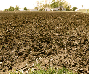 a field freshly worked in the spring for planting to secure proper soil drainage