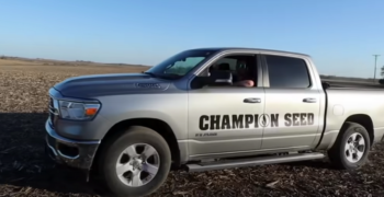Gray truck with the Champion Seed logo across its side parked in front of a corn field at harvest