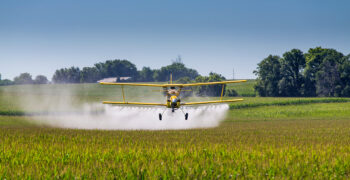 Crop dusting plane spraying a corn field