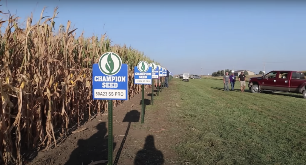 Row of Champion Seed field signs showing the corn traits planted. Farmers walking towards a red truck after a Champion Seed field day during the late growing season before harvest.