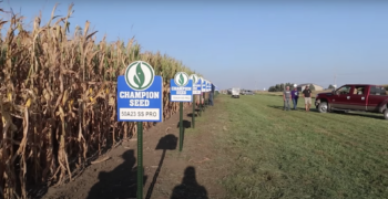 Champion Seed Field Day
